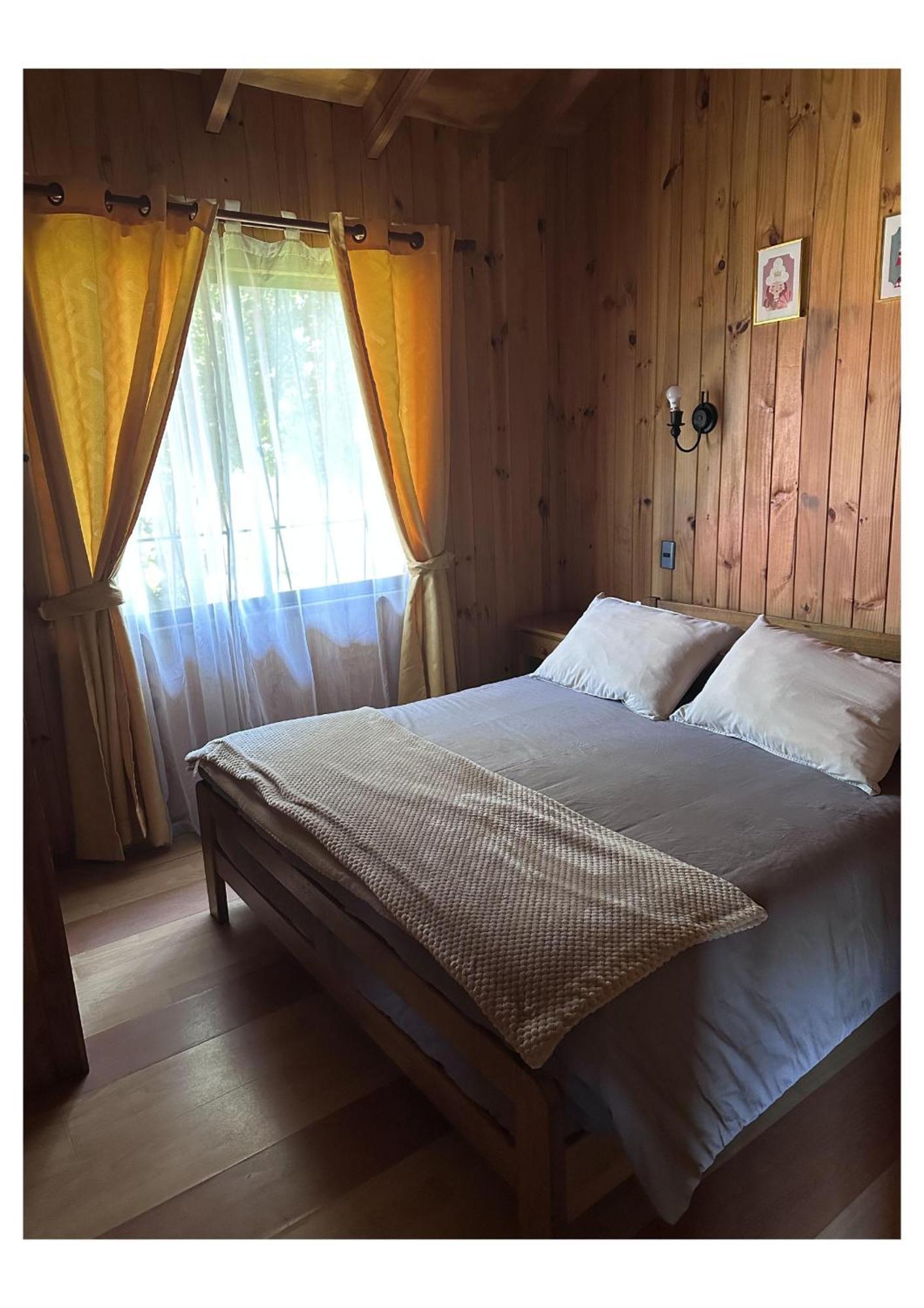 Cabanas Paihuen 普孔 外观 照片
